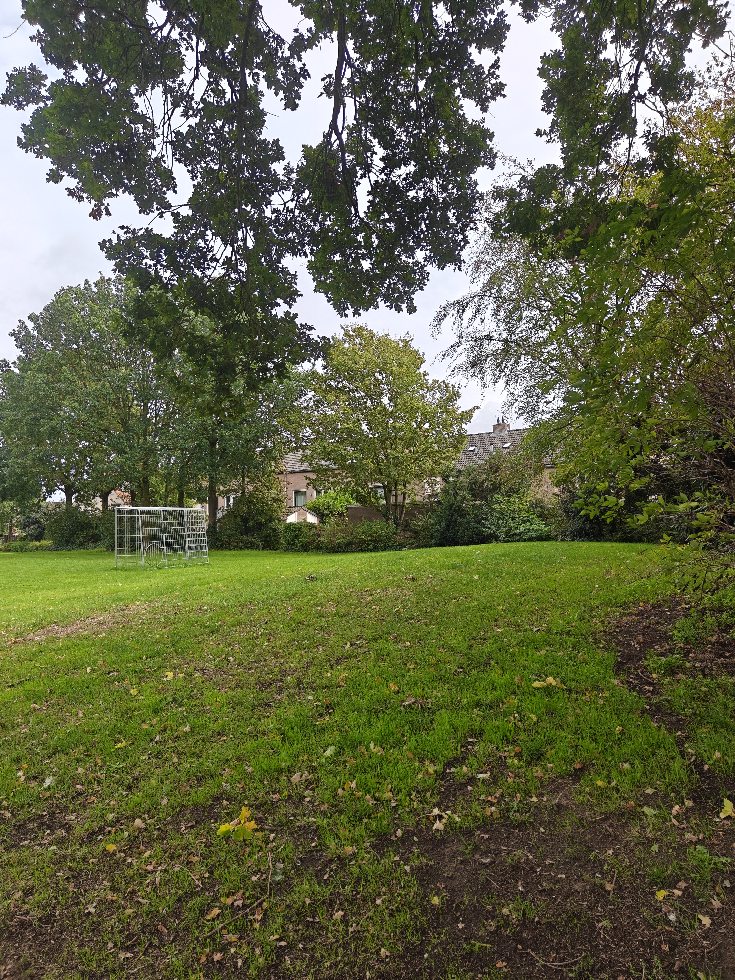 Training buiten in het park